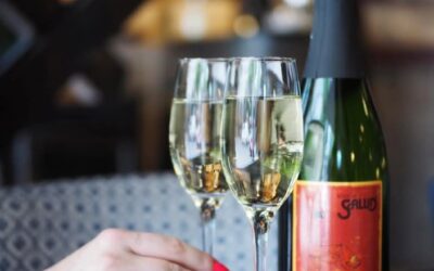 Saludin vappu – tervetuloa juhlimaan!